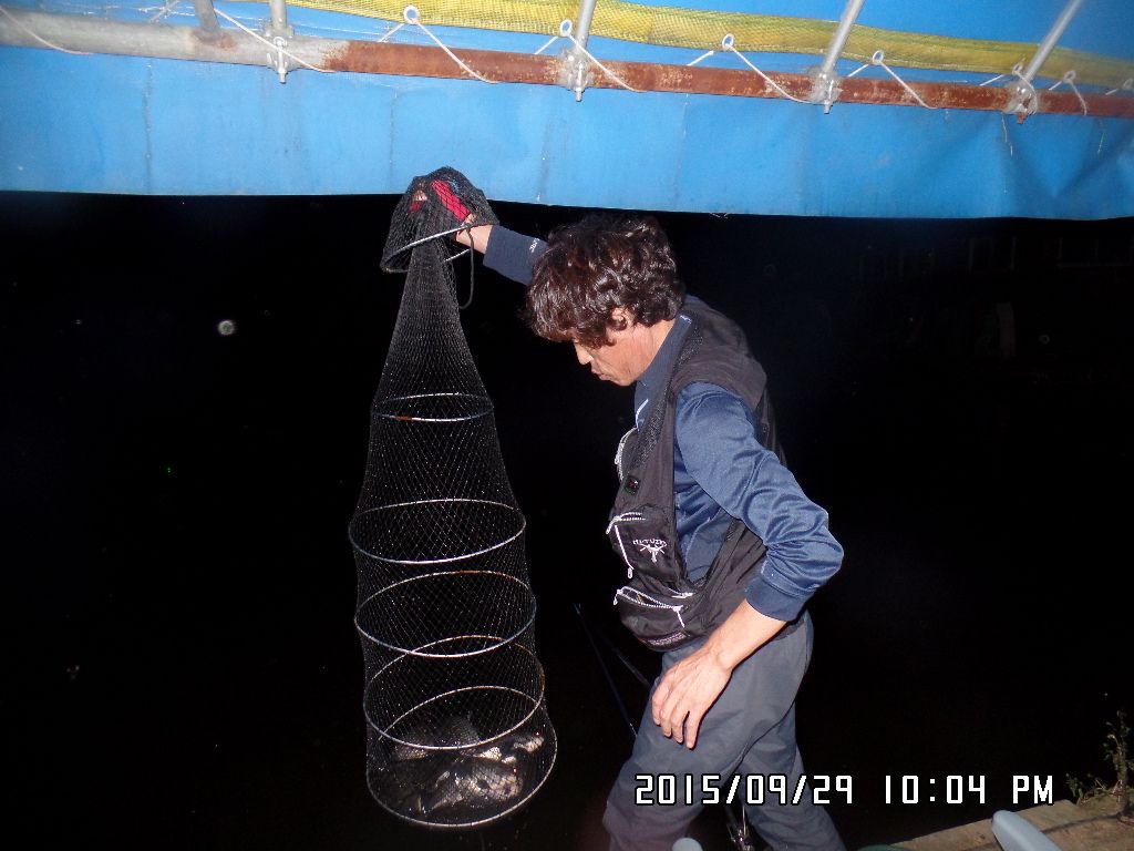 SAM_9639.JPG