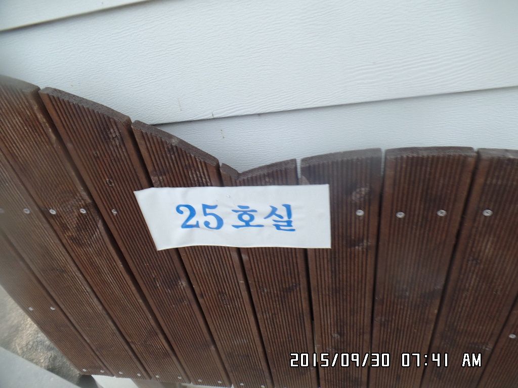 SAM_9664.JPG