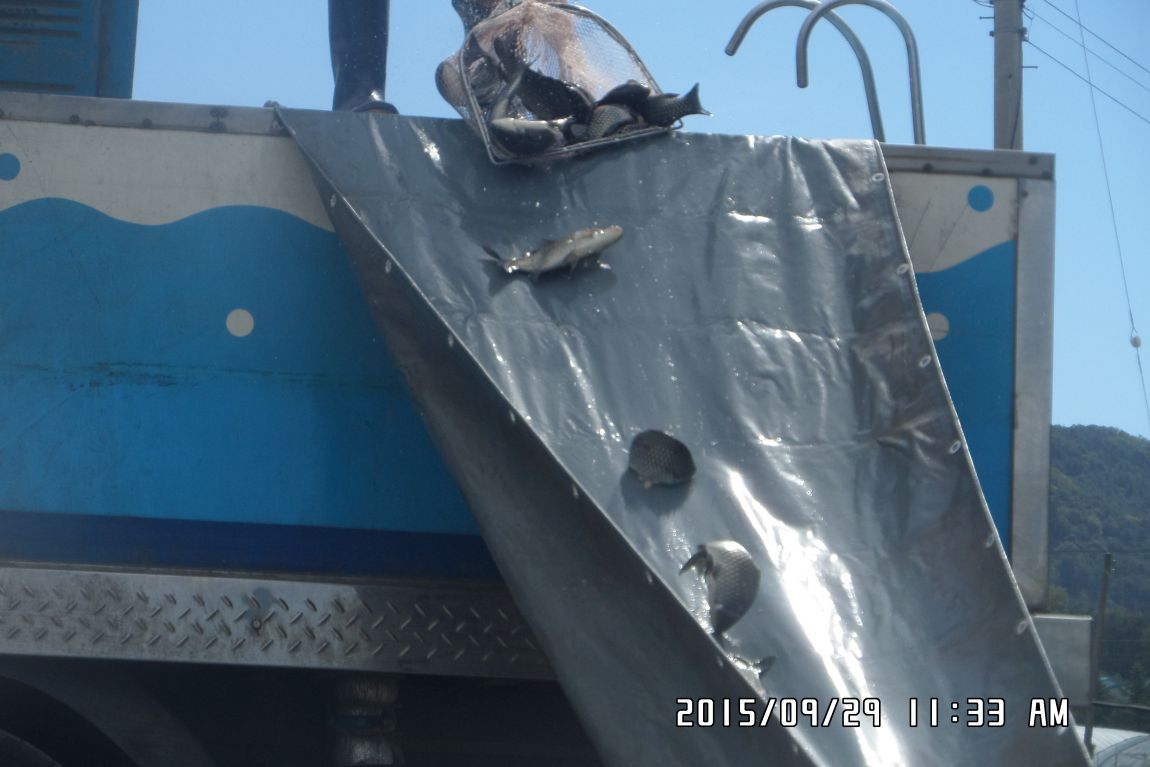 SAM_0855.JPG