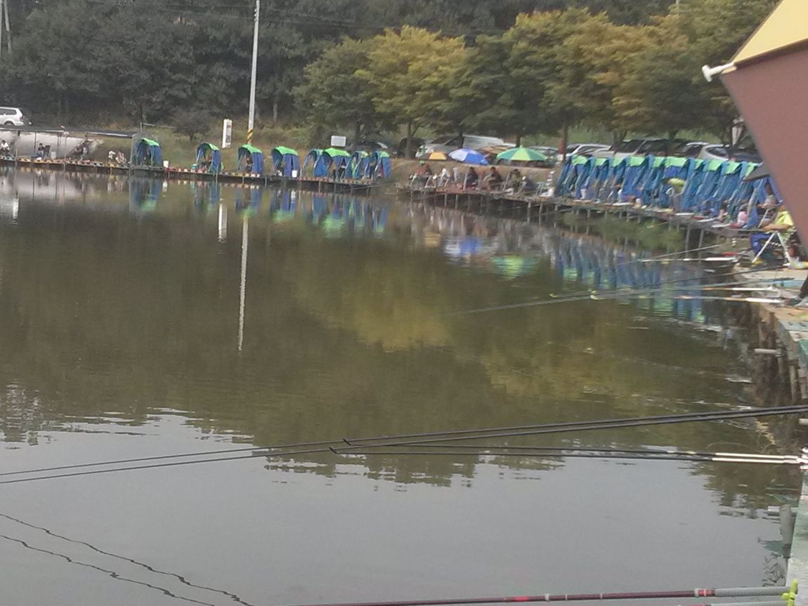 CAM07693.jpg