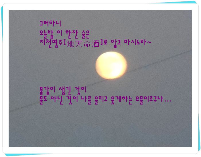 ٹ̱_DSCN0291.JPG