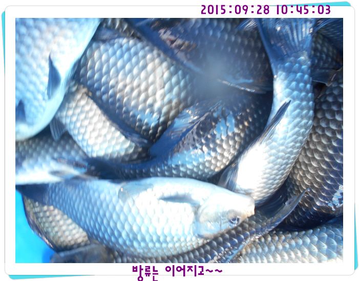 ٹ̱_DSCN0309.JPG