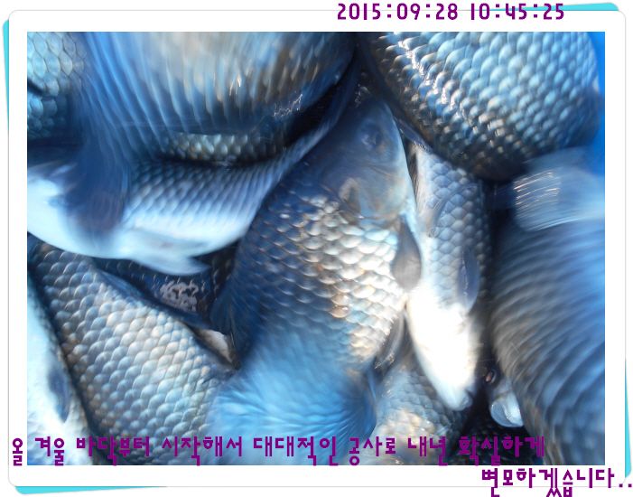 ٹ̱_DSCN0310.JPG