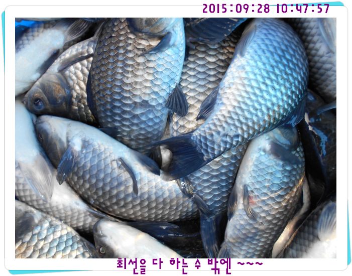 ٹ̱_DSCN0315.JPG