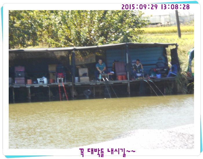 ٹ̱_DSCN0346.JPG