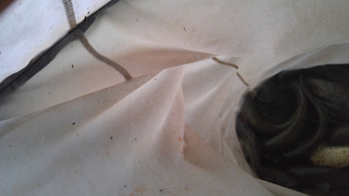 20150926_183029.jpg