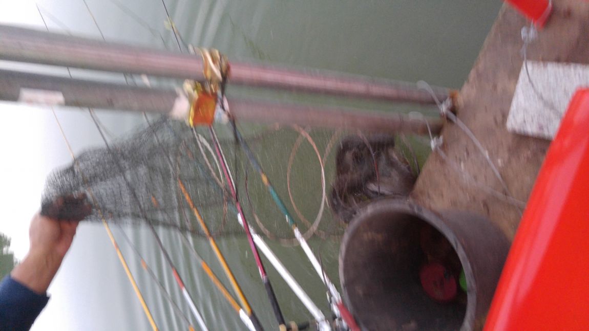 20150926_183211.jpg