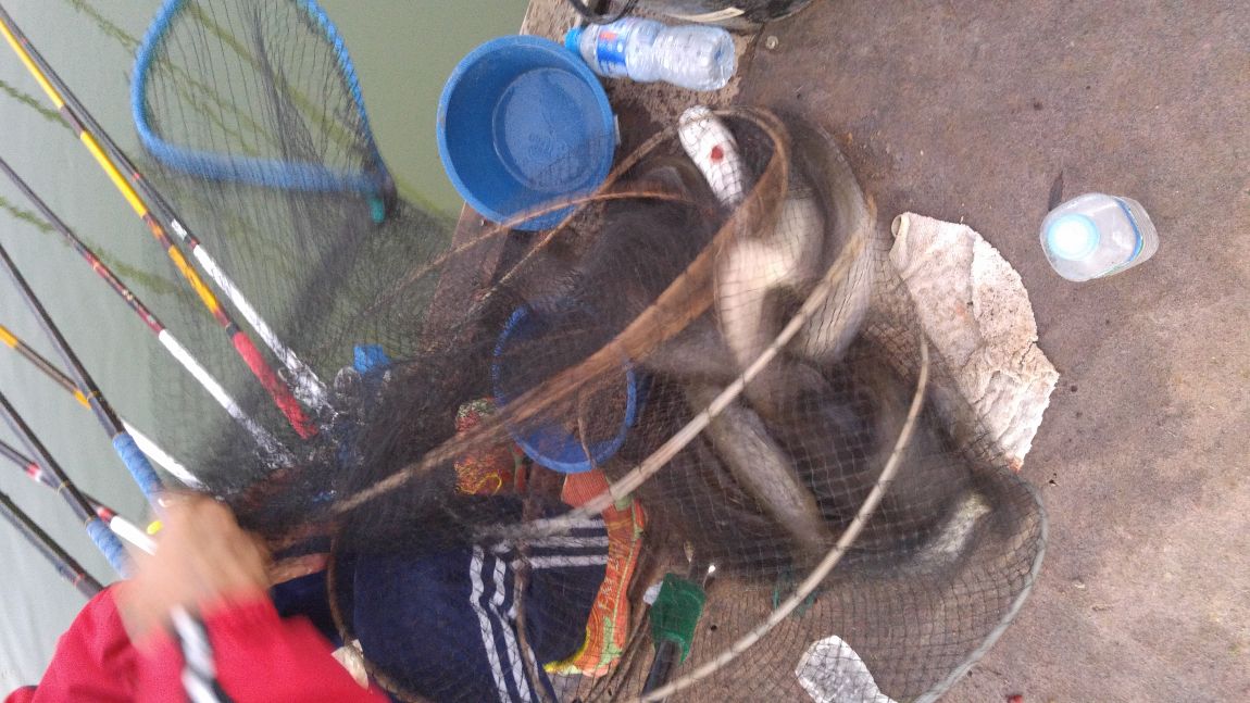 20150926_183339.jpg