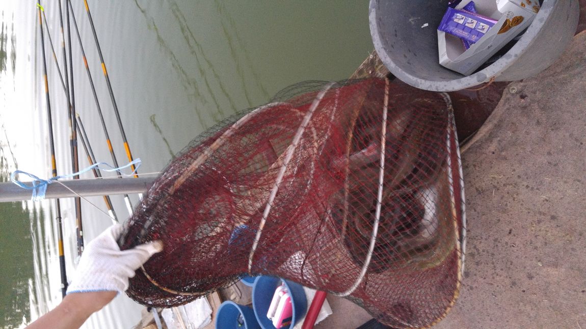 20150926_183611.jpg