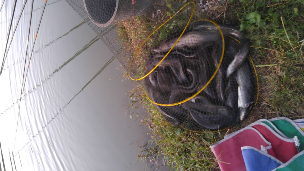 20150926_183746.jpg