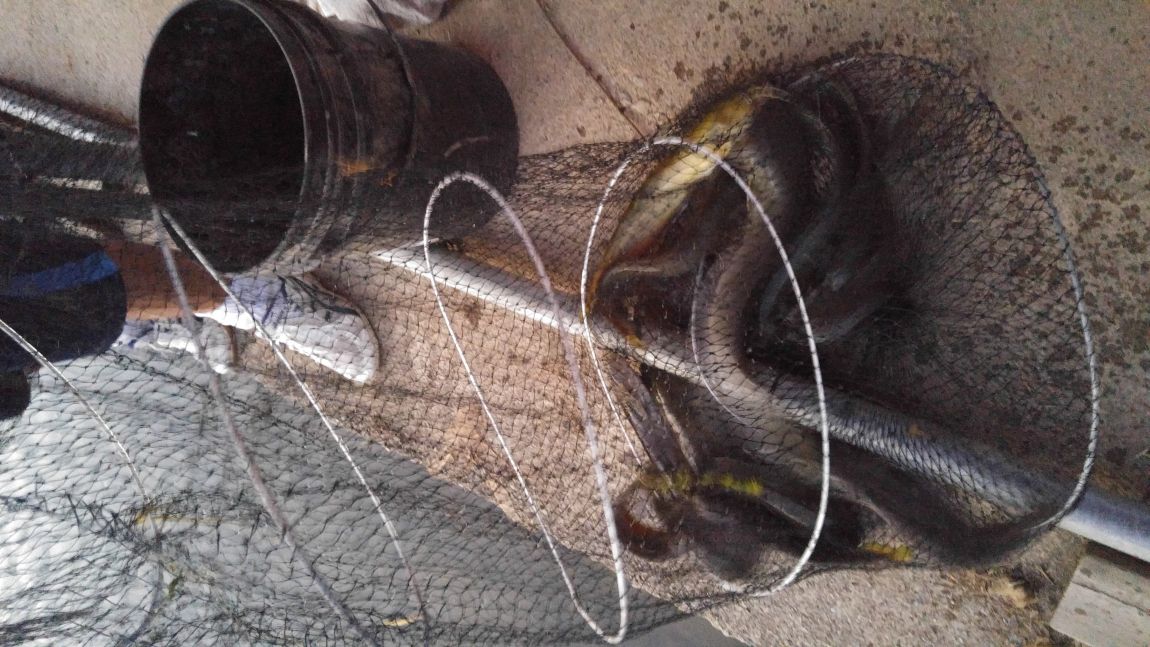 20150926_184123.jpg