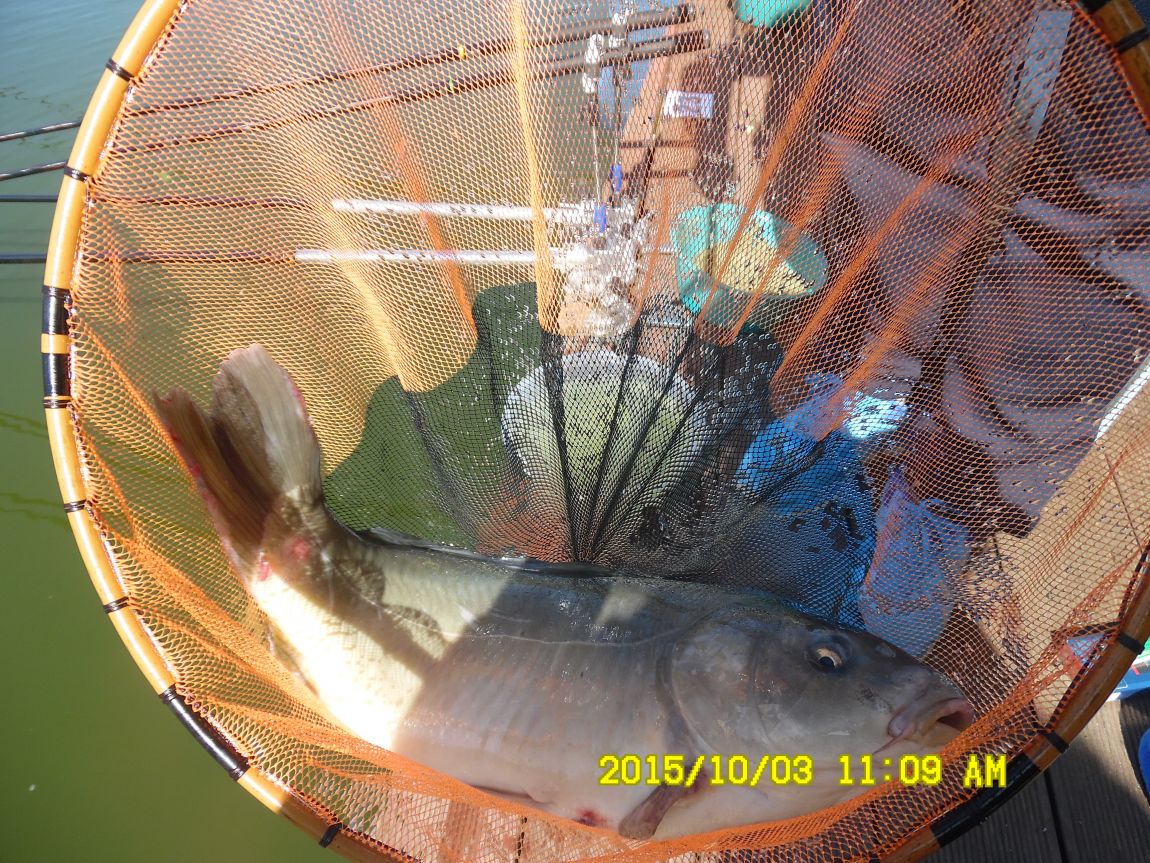 10��2��~4�� 002.JPG