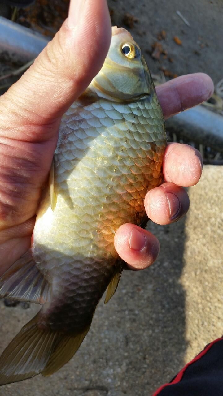 20151003_154326.jpg