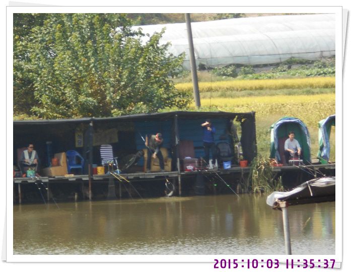 �ٹ̱�_DSCN0370.JPG