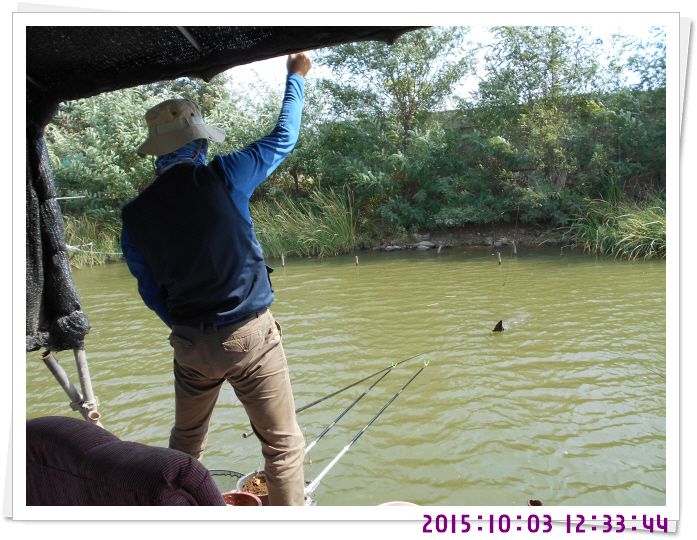 �ٹ̱�_DSCN0374.JPG