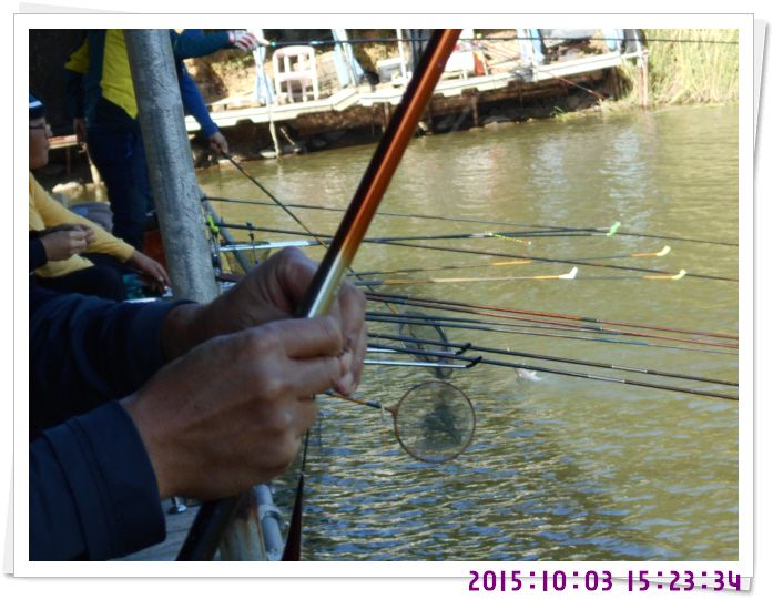 �ٹ̱�_DSCN0378.JPG