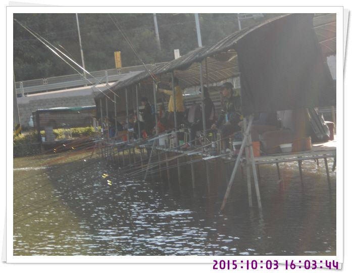�ٹ̱�_DSCN0380.JPG