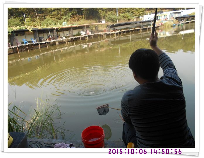�ٹ̱�_DSCN0429.JPG