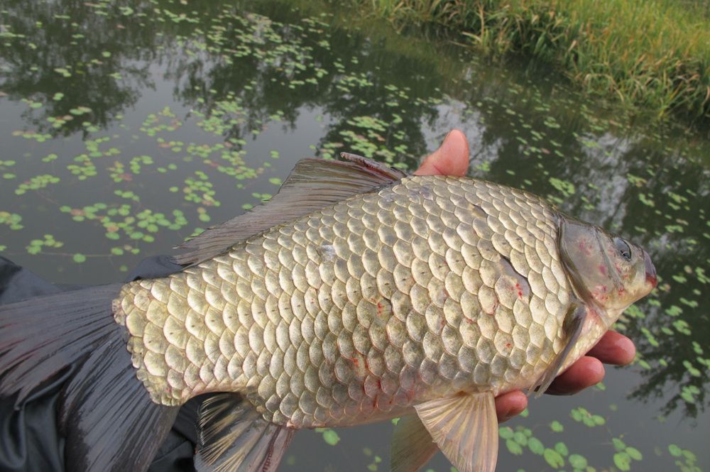 15��10��8 012.jpg