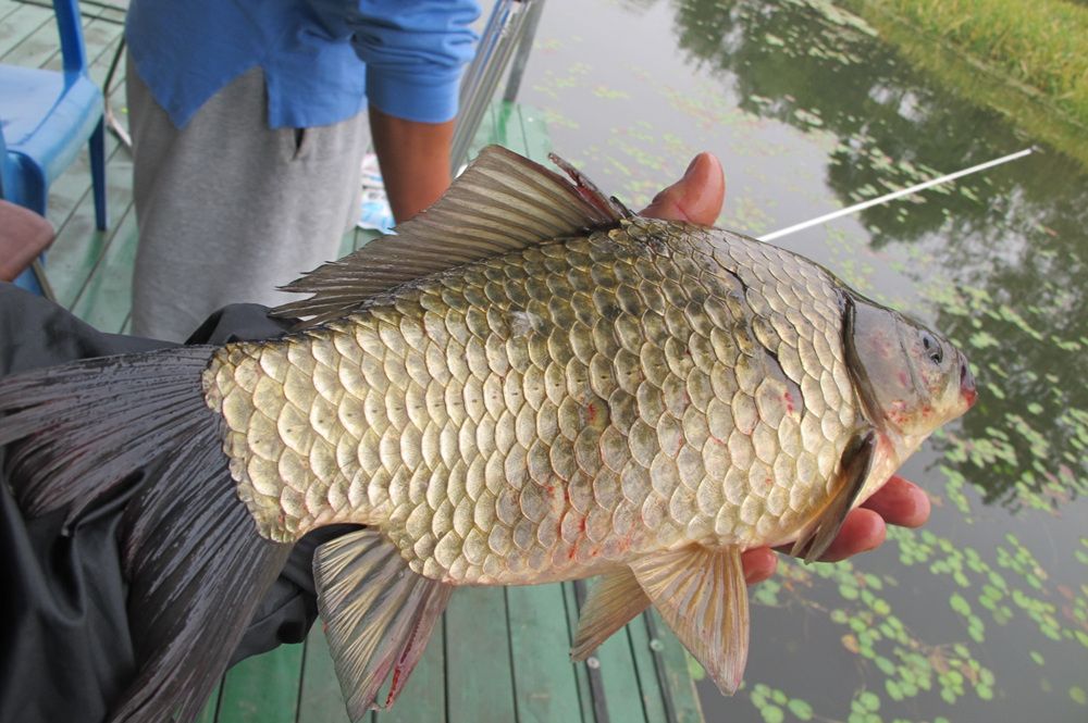 15��10��8 013.jpg