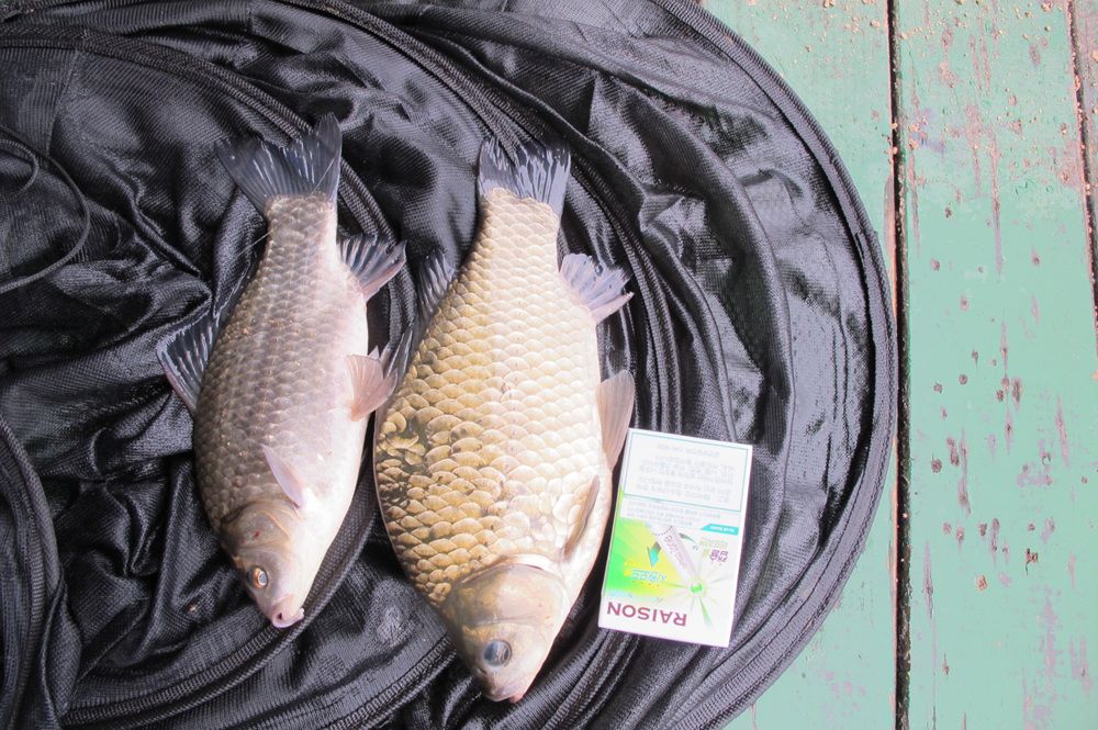 15��10��8 019.jpg