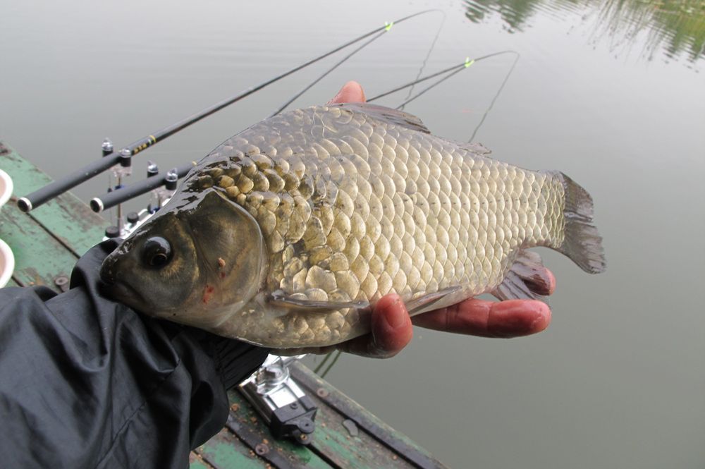 15��10��8 020.jpg