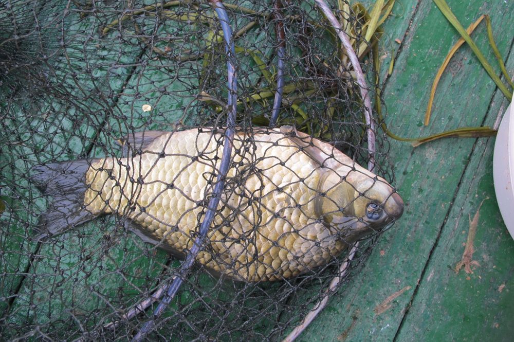 15��10��8 024.jpg