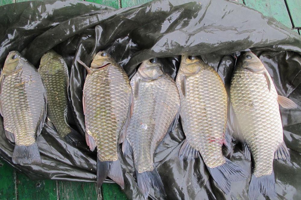 15��10��8 030.jpg