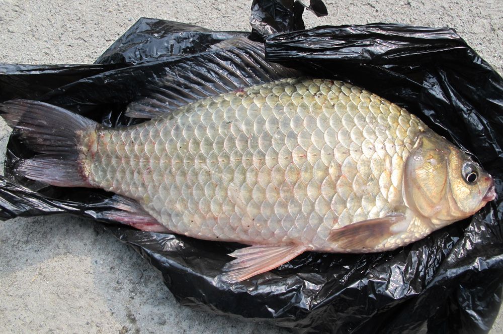 15��10��8 031.jpg