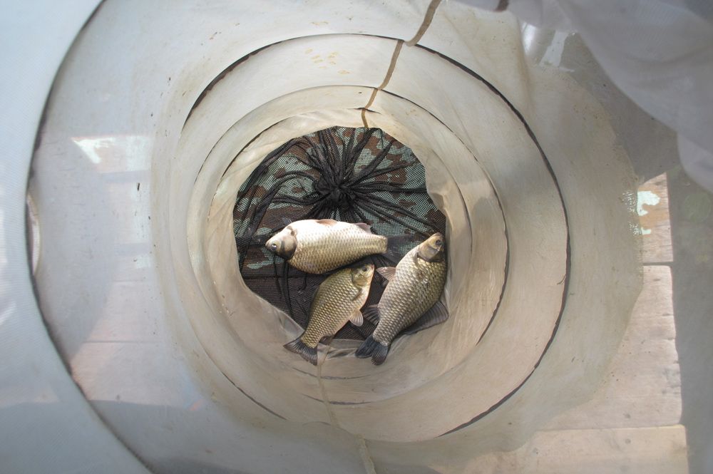 15��10��8 056.jpg