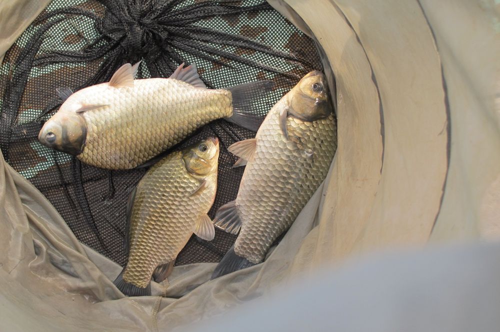 15��10��8 057.jpg