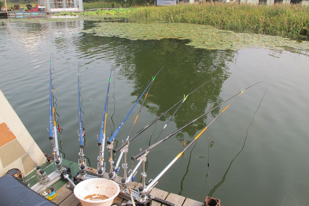 15��10��8 059.jpg