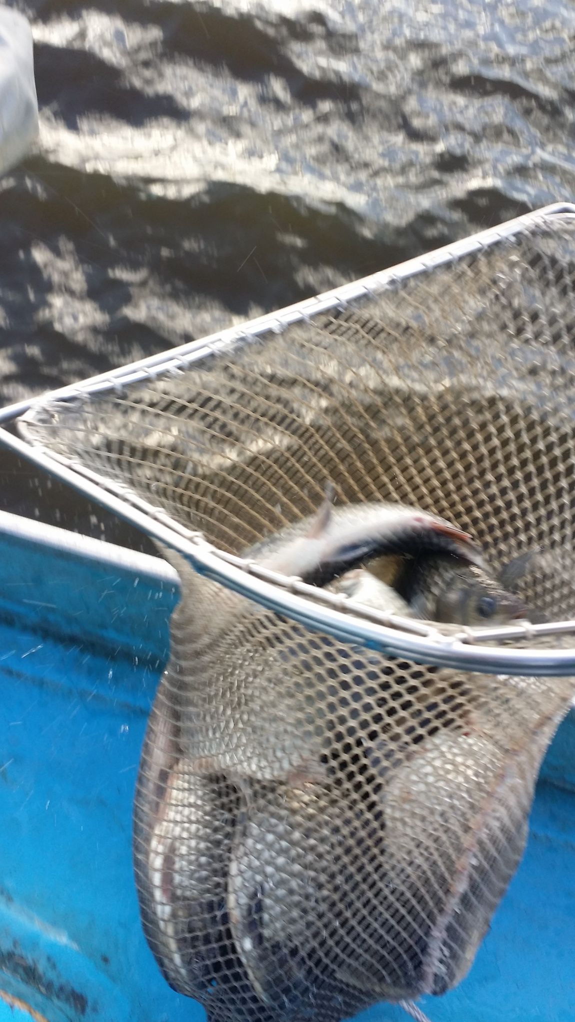 20151002_162654.jpg