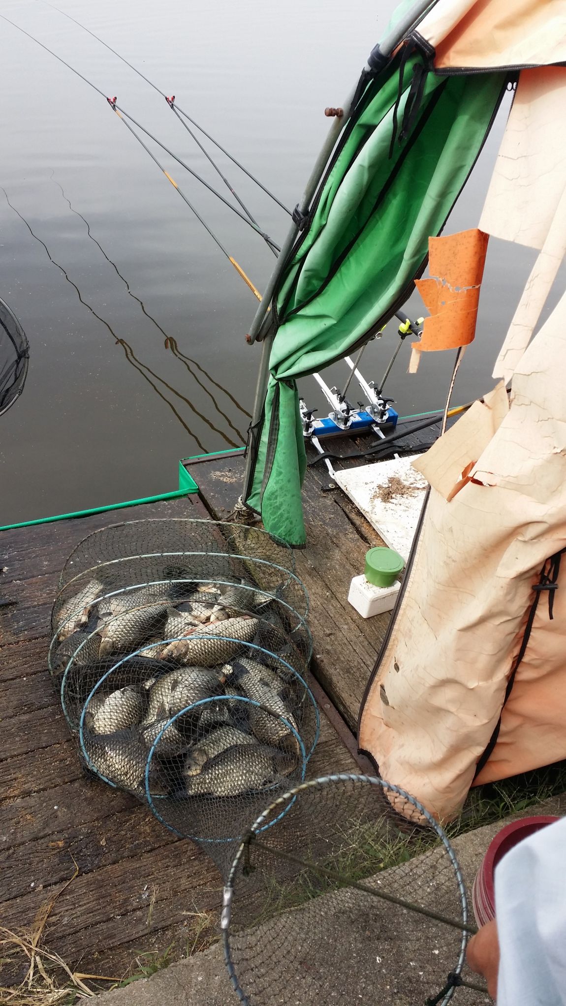 20151004_102334.jpg