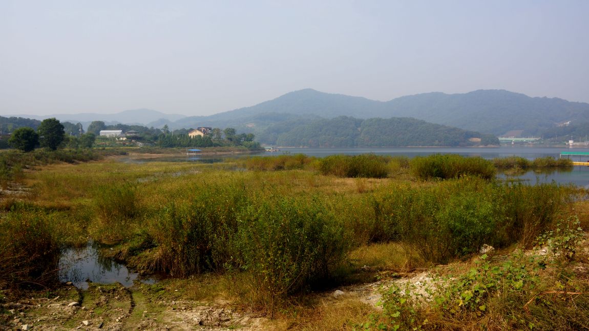 DSC01389-d.jpg