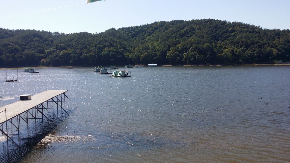 20151009_125939.jpg