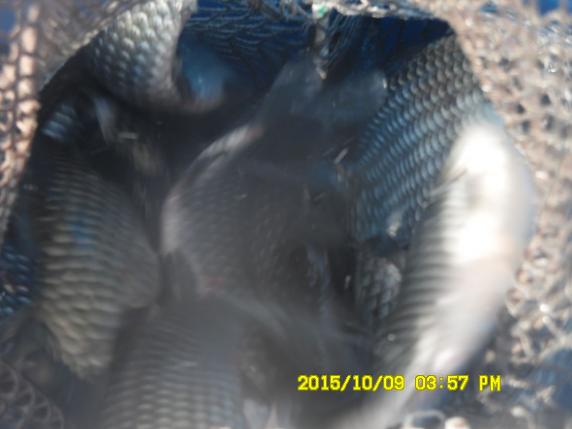 10��8��~9�� 028.JPG