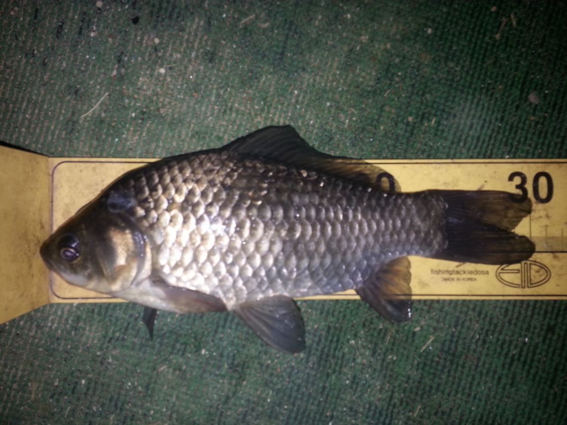 20151008_001026.jpg