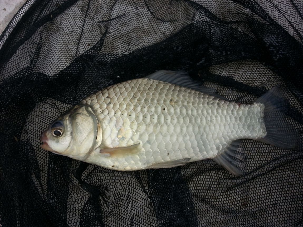 20151007_141846.jpg