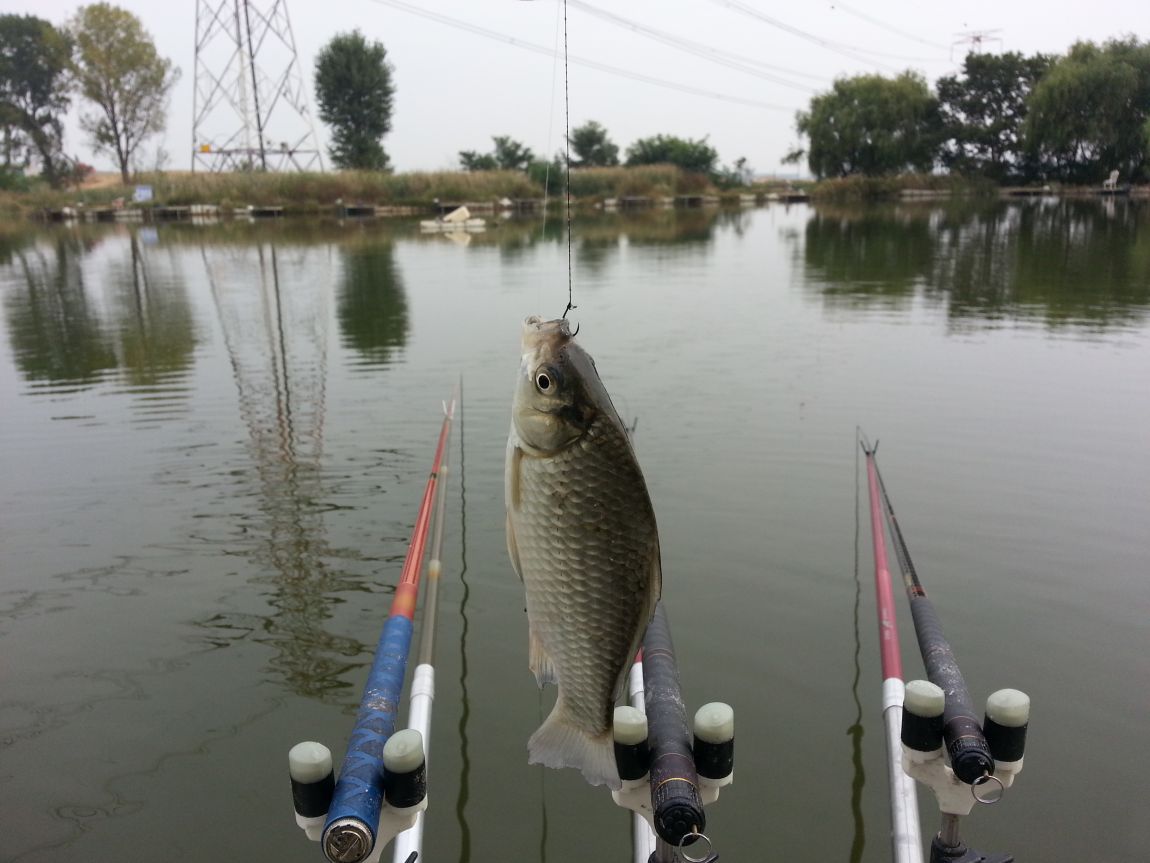 20151007_143129.jpg