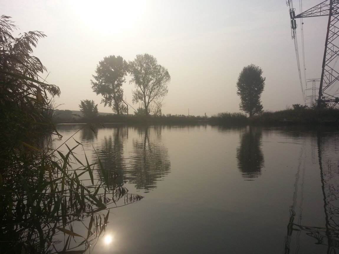 20151008_083931.jpg