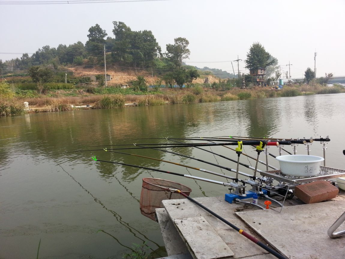 20151008_112729.jpg