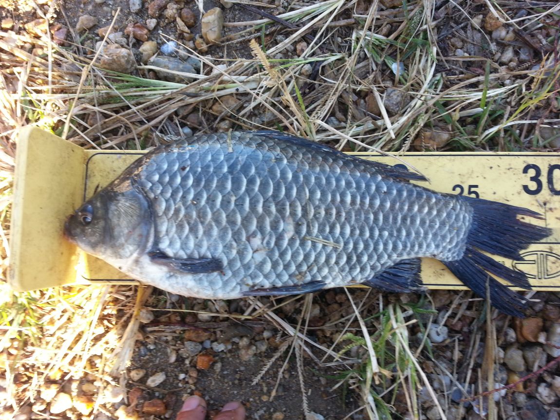 20151009_082327.jpg
