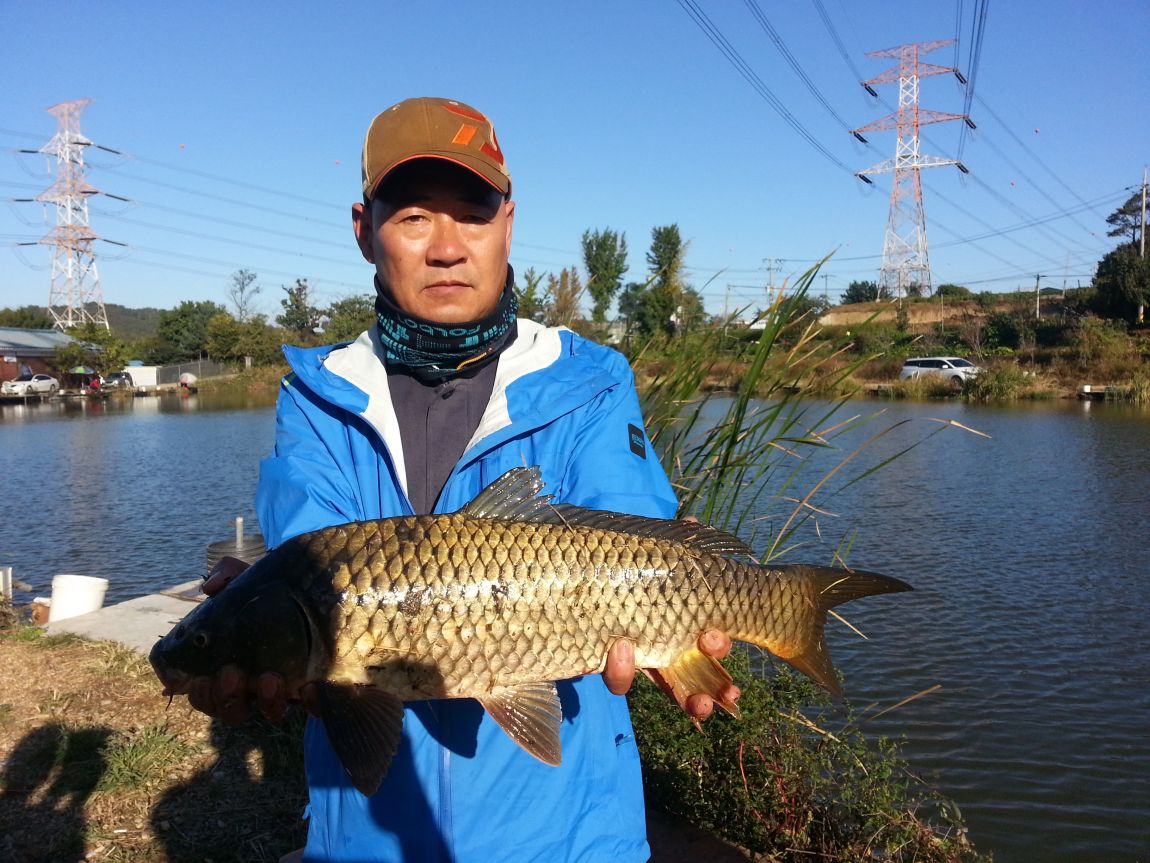 20151009_082417.jpg