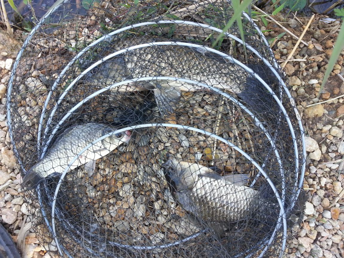 20151009_100533.jpg