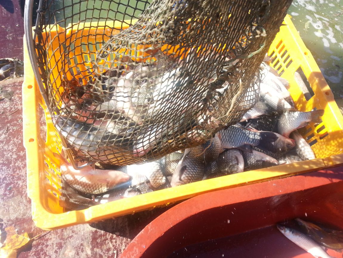 20151009_131834.jpg
