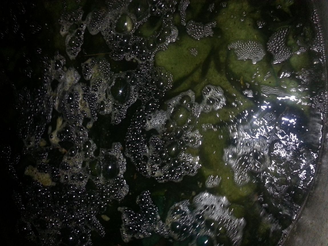 20151010_001420.jpg