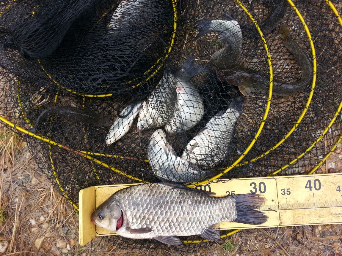 20151011_110229.jpg