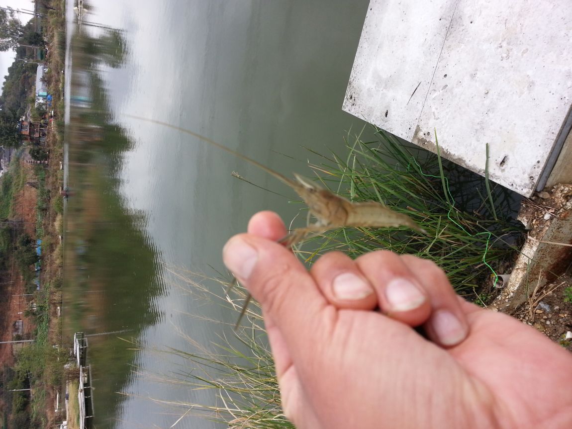 20151011_121934.jpg