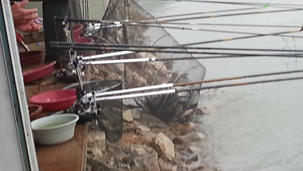 20151011_074418.jpg